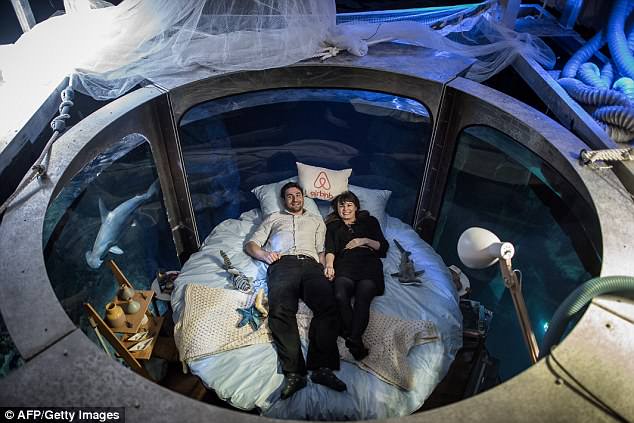 In 2016, Airbnb gave competition winners one free night sleeping in a bed in the Paris Aquarium surrounded by sharks 